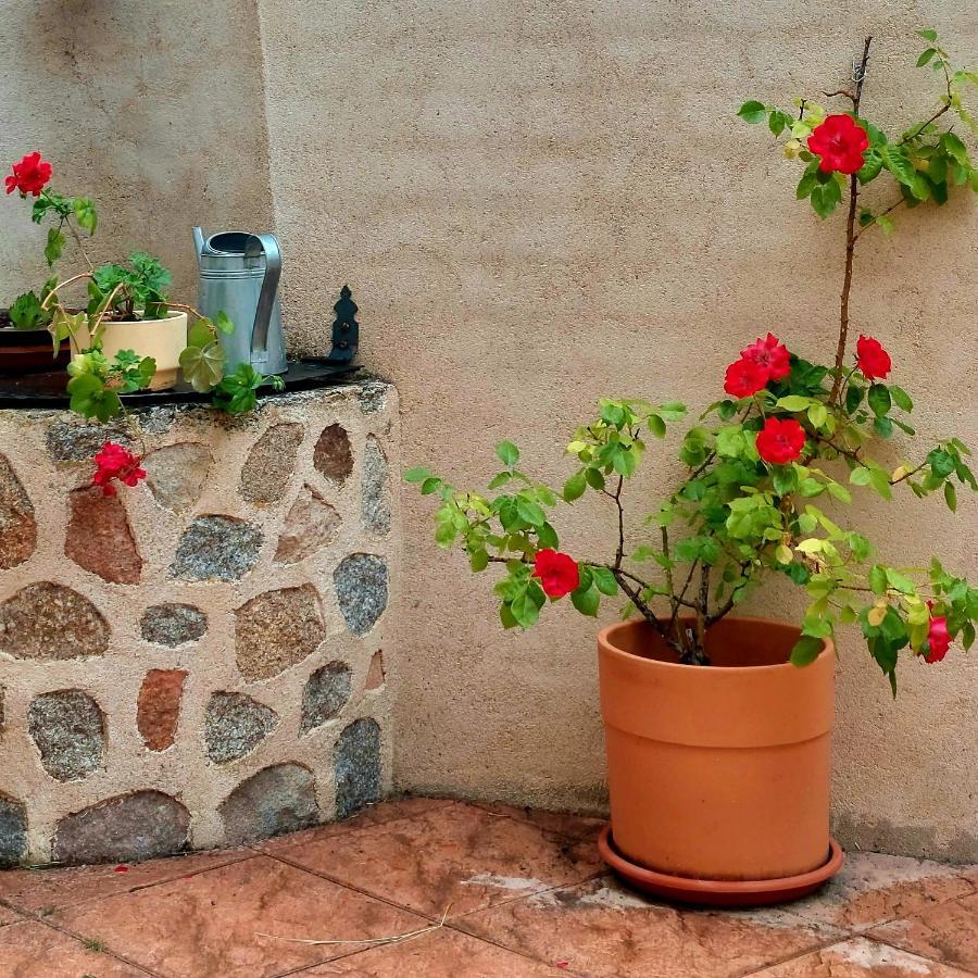 Casa Rural Abuela Reme El Fresno Esterno foto